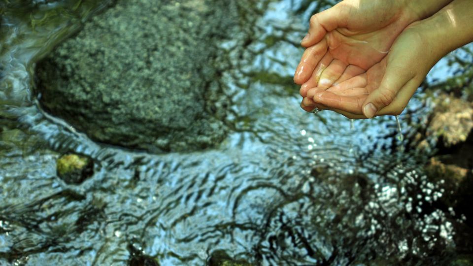 wildlife filmmaking - environmental films - hands cupping water over stream