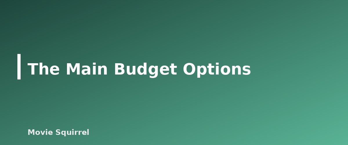 The Main Budget Options - illustration for Best Camera for Filmmaking on a Budget: What to Look For