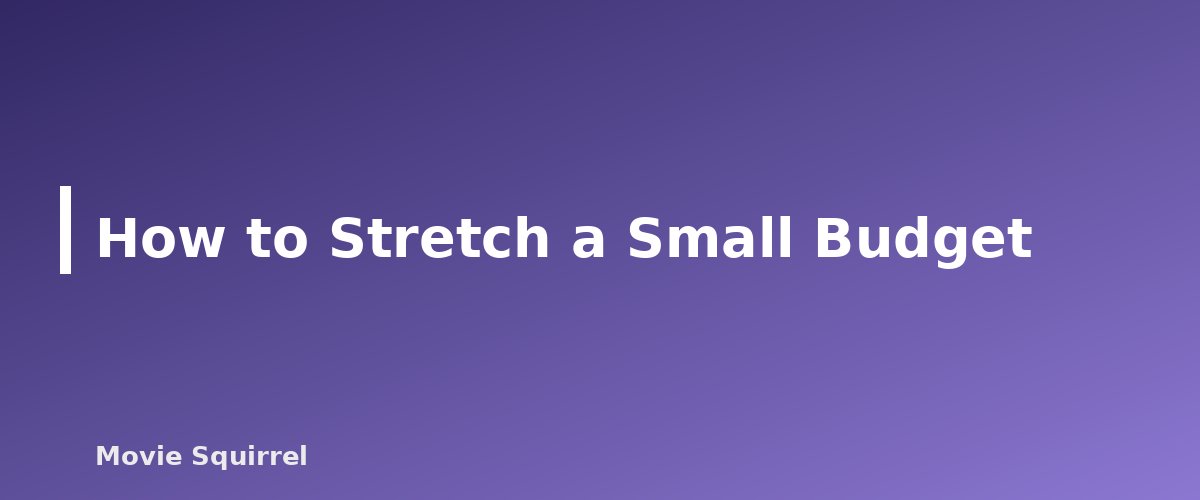 How to Stretch a Small Budget - illustration for Best Camera for Filmmaking on a Budget: What to Look For