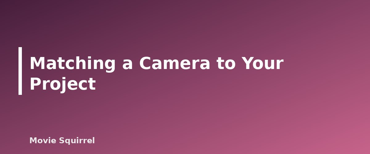 Matching a Camera to Your Project - illustration for Best Camera for Filmmaking on a Budget: What to Look For
