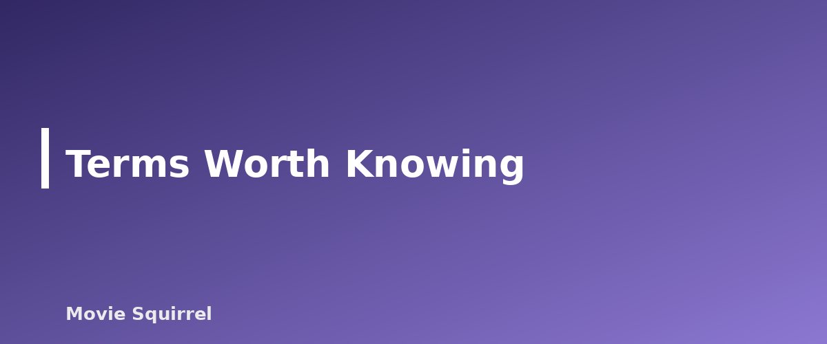 Terms Worth Knowing - illustration for Best Camera for Filmmaking on a Budget: What to Look For