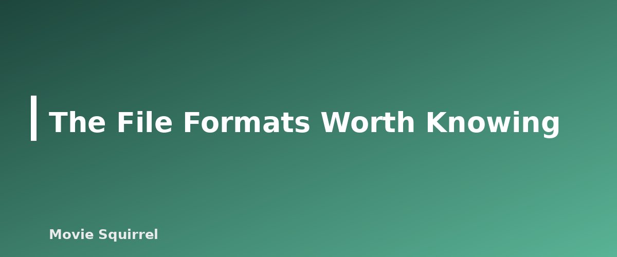 The File Formats Worth Knowing - illustration for Best Screenwriting Software: Free and Paid Options Compared